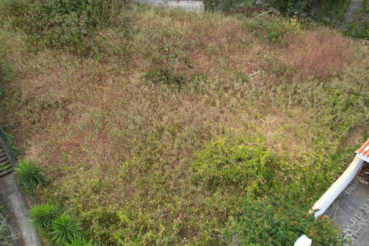 Birds eye view of the land