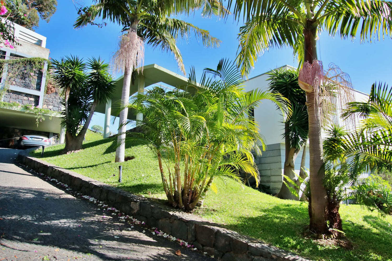 DRIVEWAY, Garden and side facade of the house