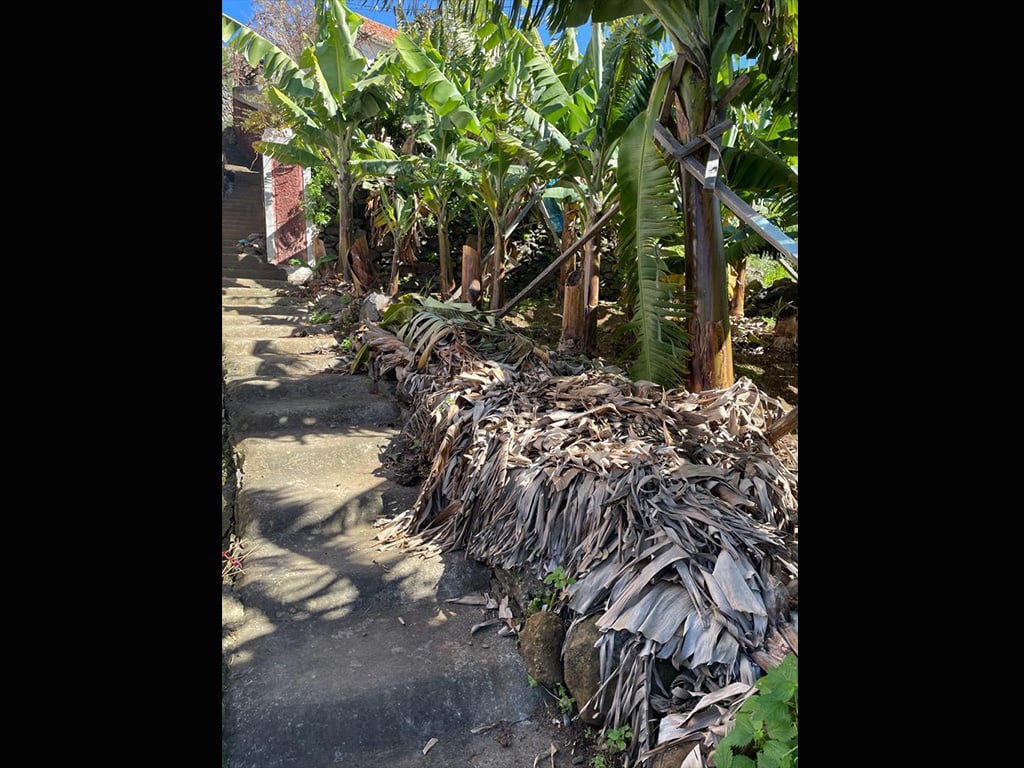 ENTRANCE STAIRS TO PROPERTY