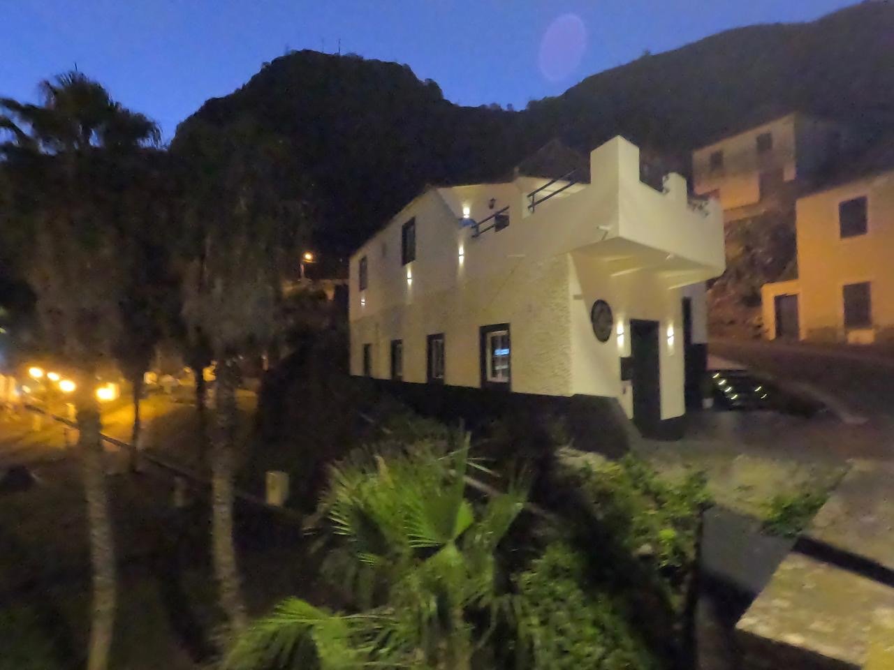 Facade of the property and surrounding palm trees