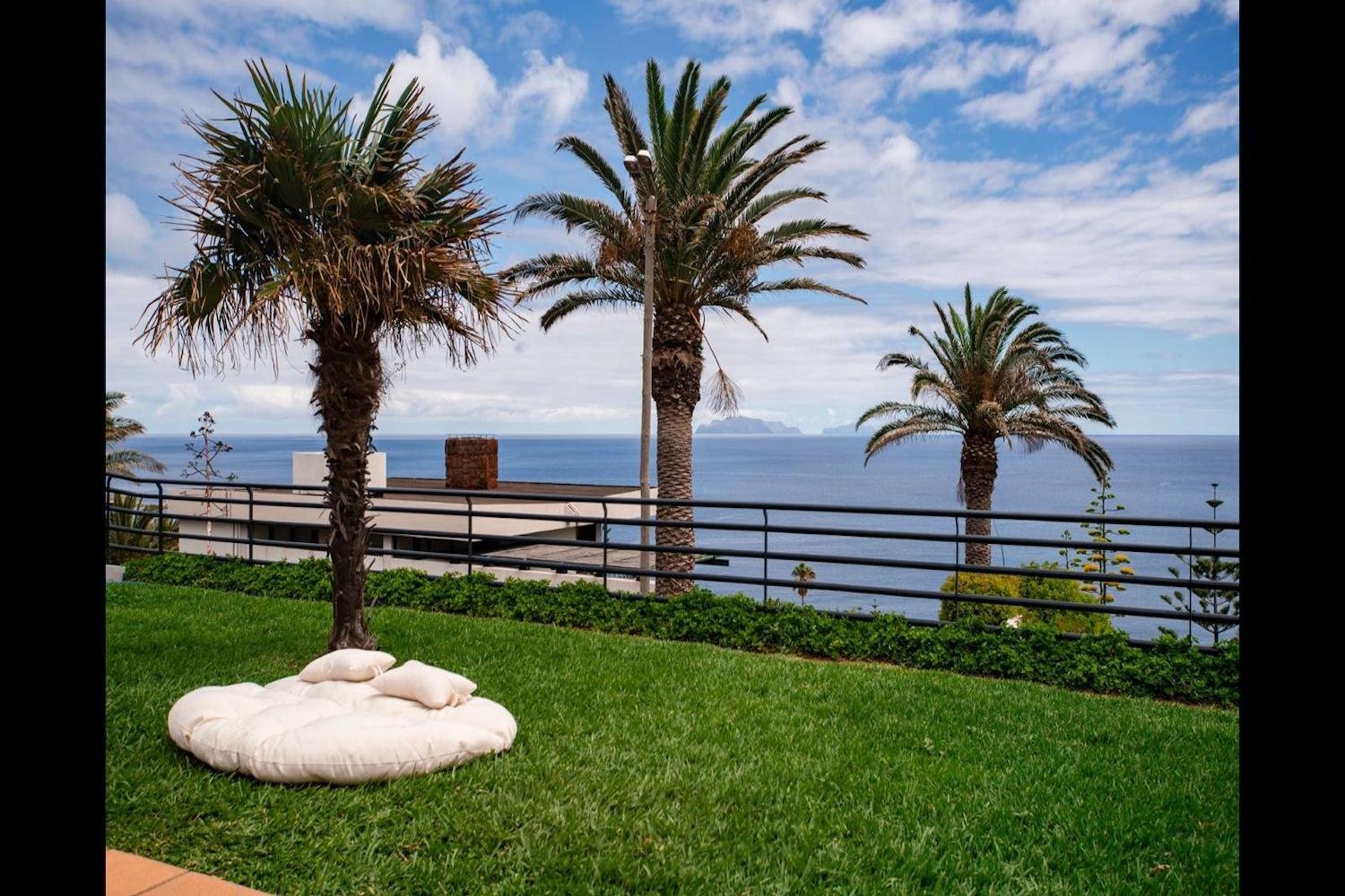Garden with palm trees and sea view