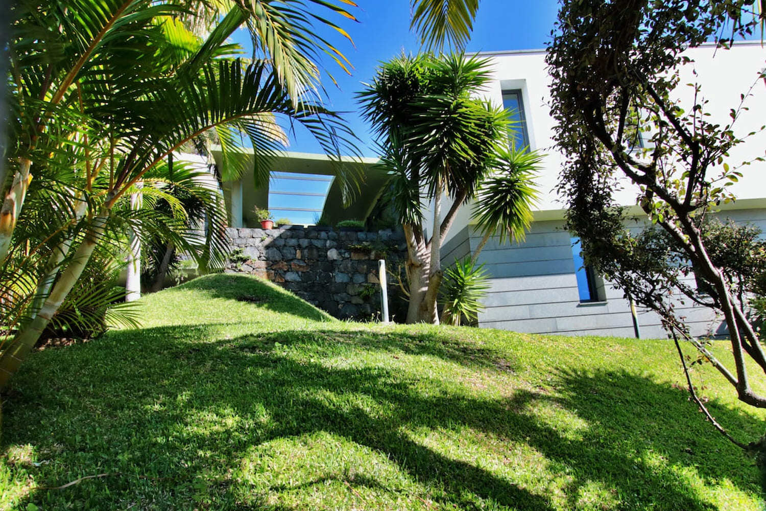 Garden and side facade of the house
