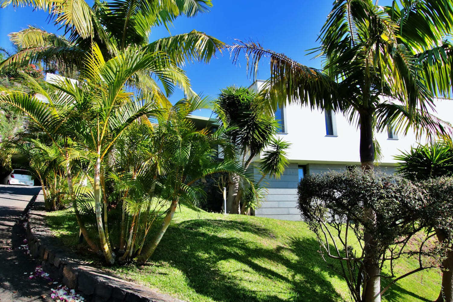 GARDEN AREA and side facade of the house
