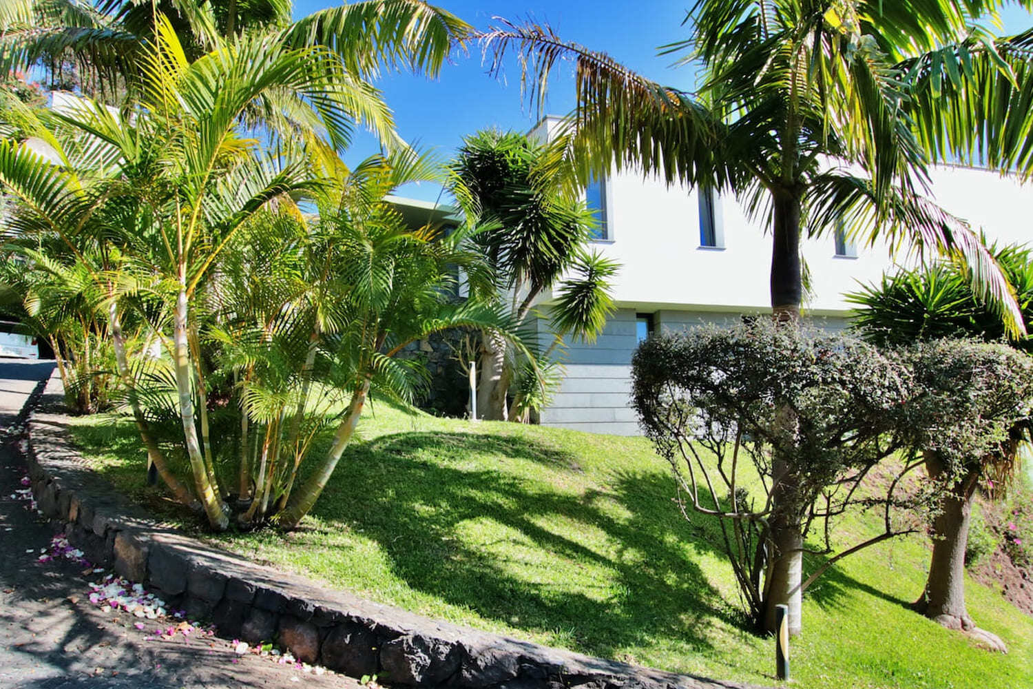 Garden and side facade of the house