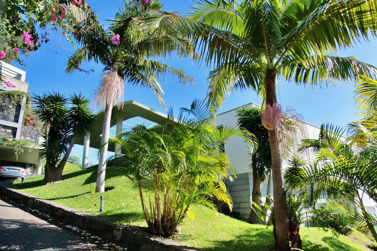 SIDE FACADE of the house and garden
