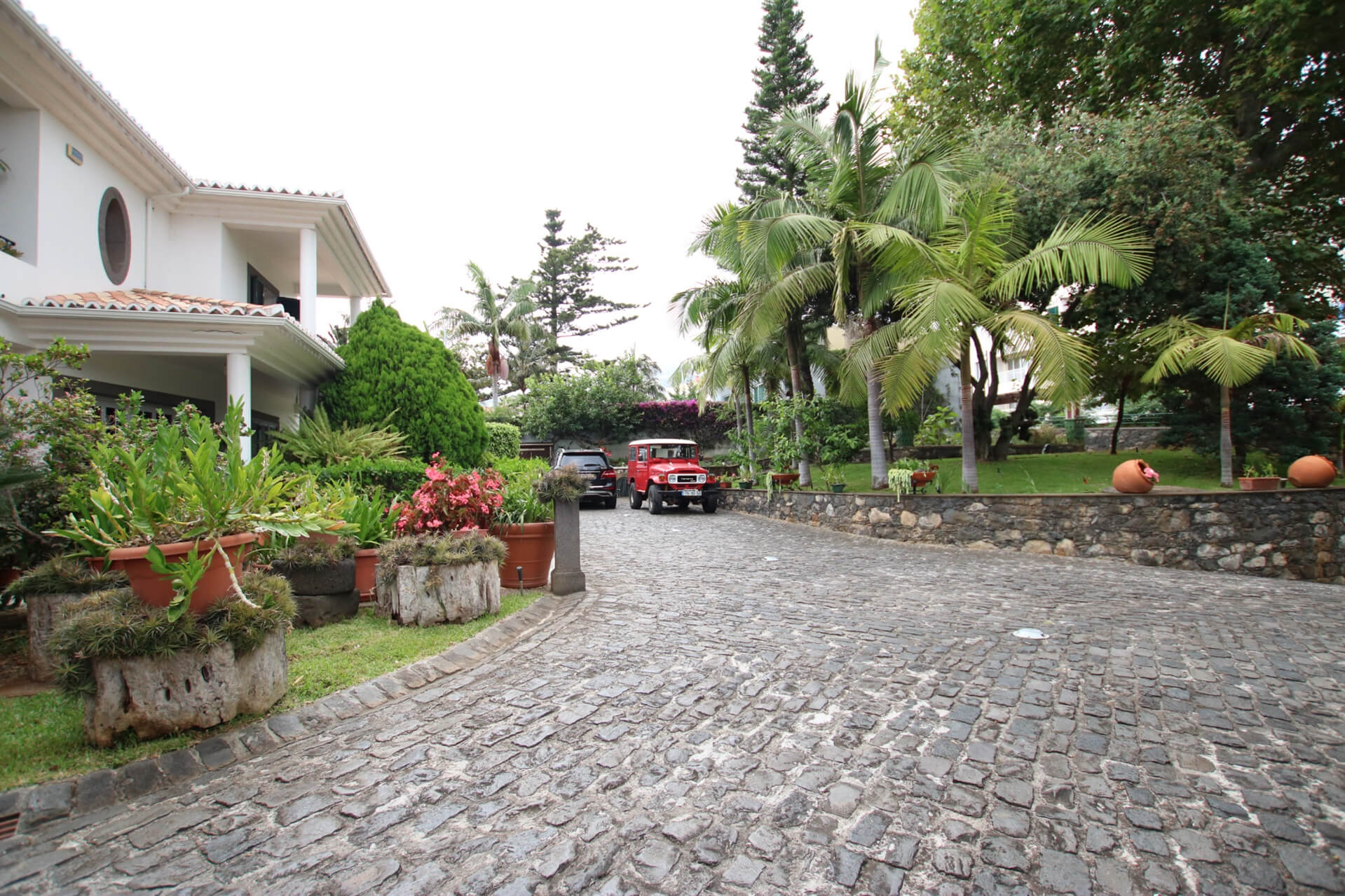 Driveway with garden and cars parked on the driveway